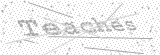 Security Picture (click to change)