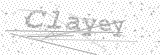 Security Picture (click to change)