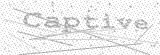 Security Picture (click to change)