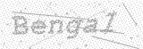 Security Picture (click to change)