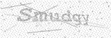 Security Picture (click to change)