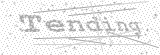 Security Picture (click to change)
