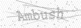 Security Picture (click to change)