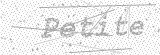 Security Picture (click to change)