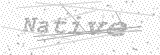 Security Picture (click to change)