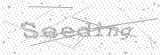 Security Picture (click to change)