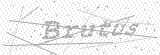 Security Picture (click to change)