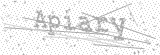 Security Picture (click to change)