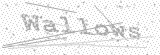 Security Picture (click to change)