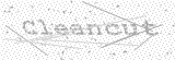 Security Picture (click to change)