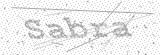 Security Picture (click to change)