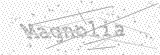 Security Picture (click to change)
