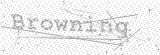 Security Picture (click to change)