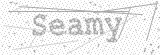 Security Picture (click to change)