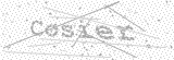 Security Picture (click to change)
