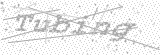 Security Picture (click to change)