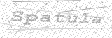 Security Picture (click to change)