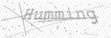 Security Picture (click to change)