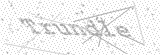 Security Picture (click to change)