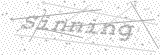 Security Picture (click to change)