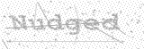 Security Picture (click to change)