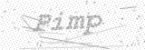 Security Picture (click to change)