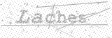 Security Picture (click to change)
