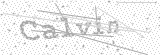 Security Picture (click to change)