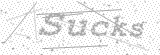 Security Picture (click to change)
