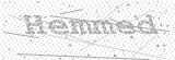 Security Picture (click to change)