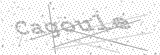 Security Picture (click to change)