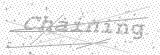 Security Picture (click to change)