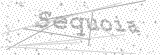 Security Picture (click to change)