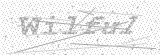 Security Picture (click to change)