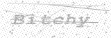 Security Picture (click to change)