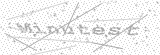 Security Picture (click to change)
