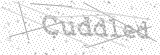 Security Picture (click to change)