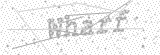 Security Picture (click to change)