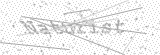 Security Picture (click to change)