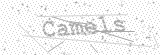 Security Picture (click to change)