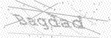 Security Picture (click to change)