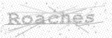 Security Picture (click to change)