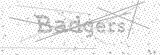 Security Picture (click to change)