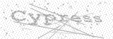 Security Picture (click to change)