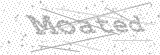 Security Picture (click to change)