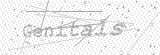 Security Picture (click to change)