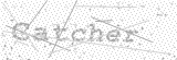 Security Picture (click to change)