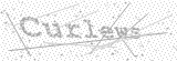 Security Picture (click to change)