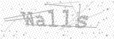 Security Picture (click to change)