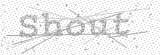 Security Picture (click to change)